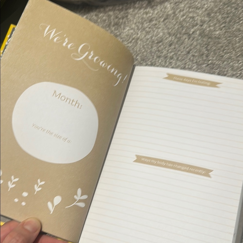 Pregnancy Journal - Picture 2 of 6